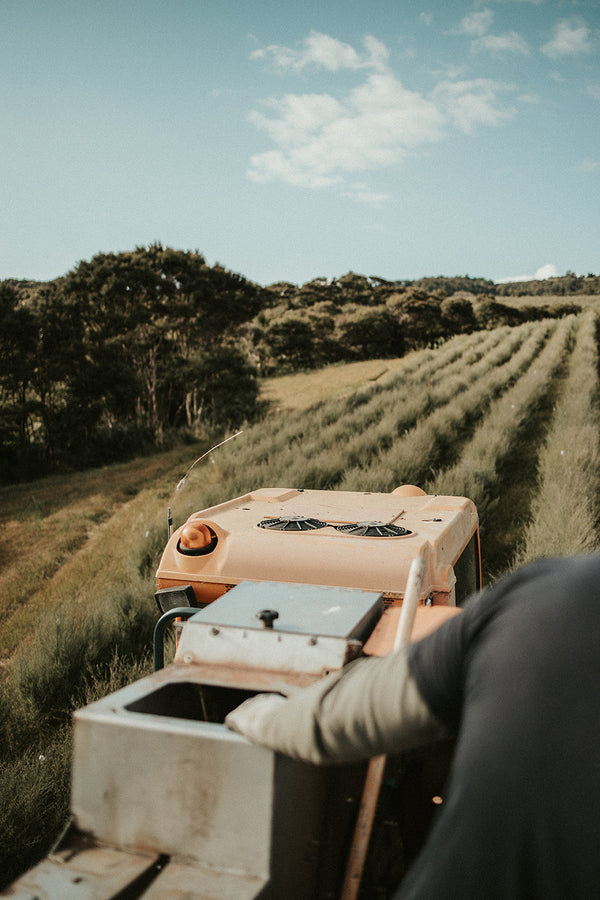 MN8 regenerative mānuka farm in New Zealand with harvesting equipment in the field