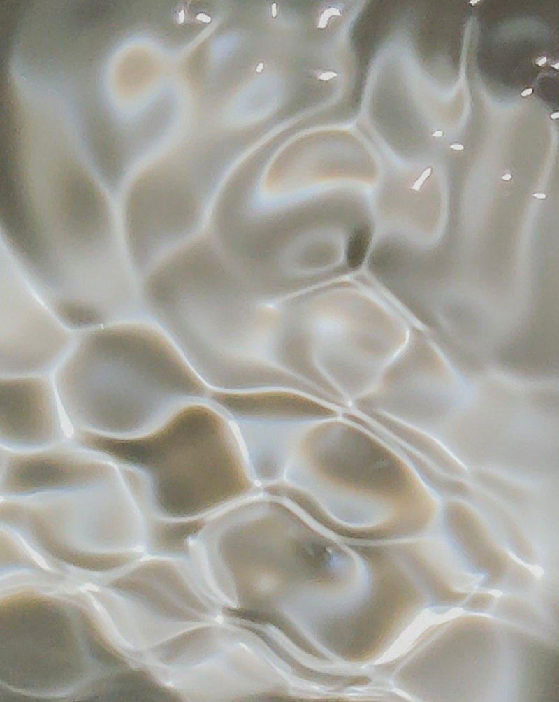 Close-up of plant cells — the plant source of MN8's Neossance Squalane